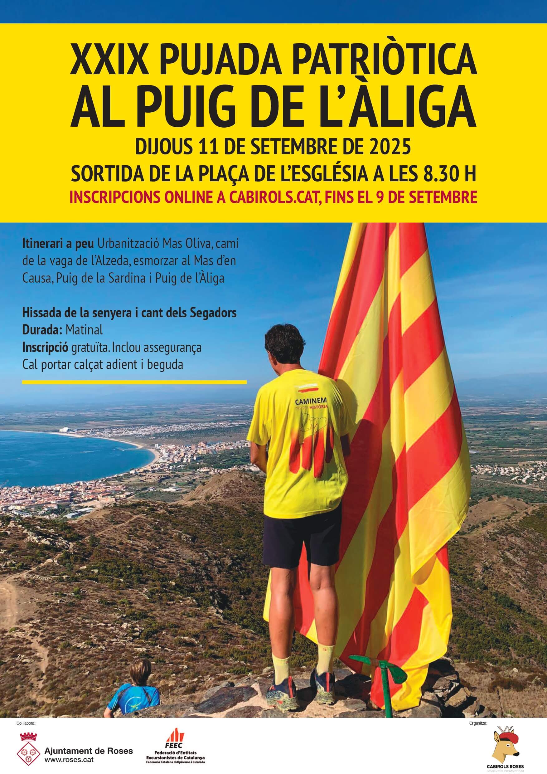 Cartell XXIX edició